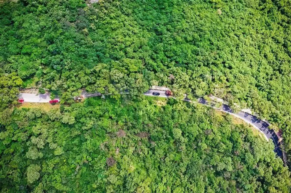 深圳海边最好的公园,深圳有几个靠海的公园