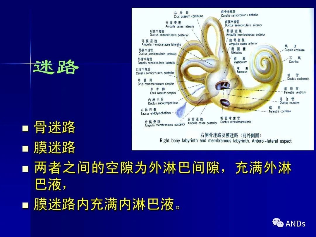 六问法—良性阵发性位置性眩晕（BPPV）诊断