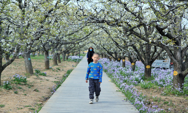 春游江淮请你来滁州版,春游江淮等您来