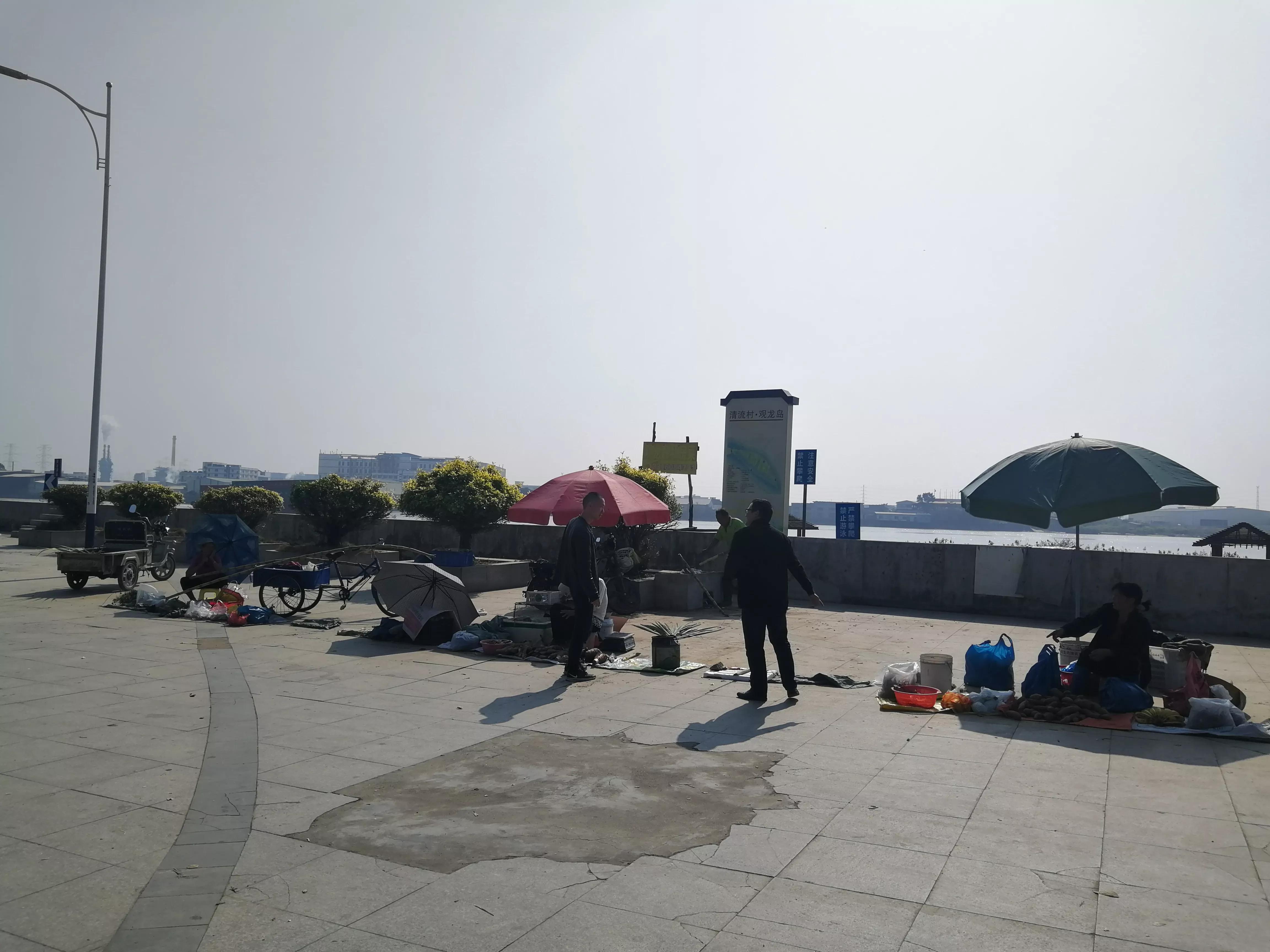 地铁4号线美丽乡村东涌,地铁4号线沿路风景