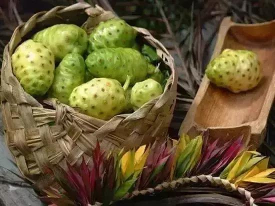 能致富的中药材品种,发家致富的神奇植物