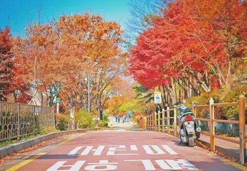 美宝在济州岛更新旅行证,美宝去韩国换旅行证