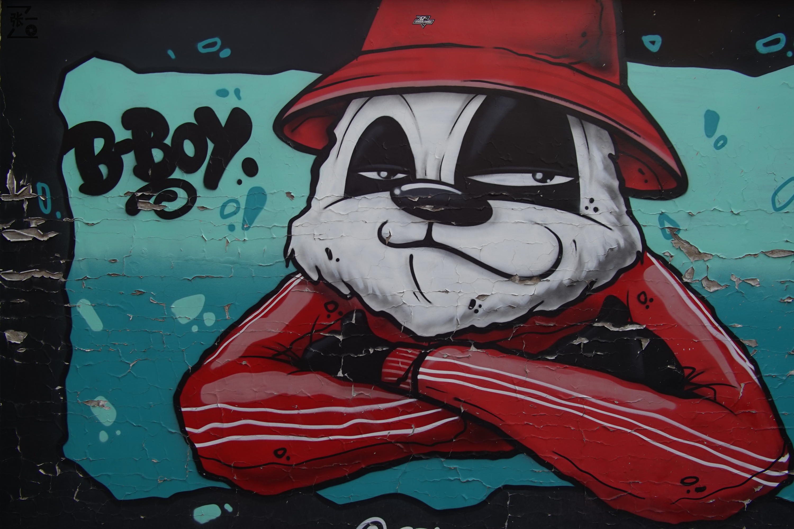 中国产微单,24-135镜头索尼