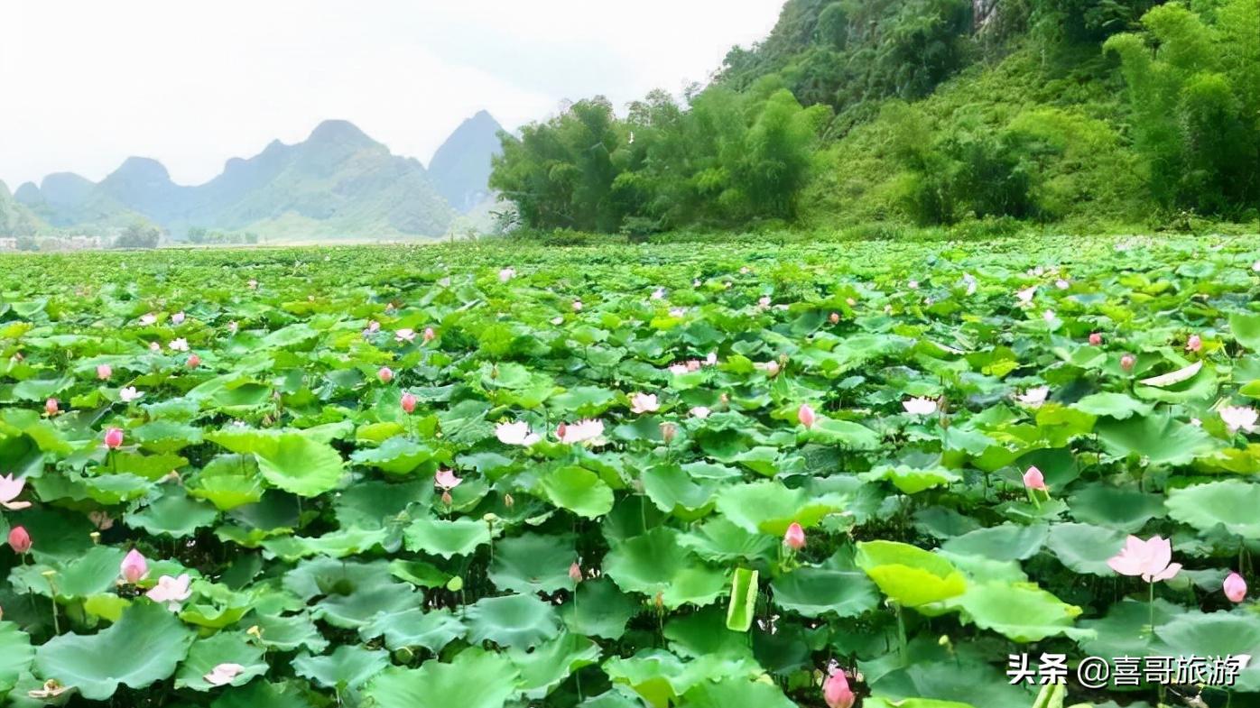 广西平果旅游景点冬季,平果到西藏自驾游最佳路线