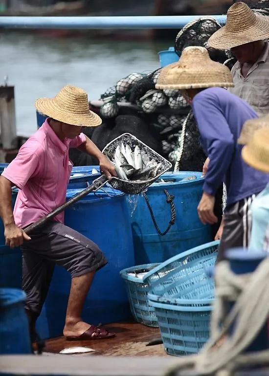 浣犲涔呮病鍘绘捣杈瑰害鍋囦簡,浣犲涔呮病鏈夊嚭闂ㄦ梾娓镐簡