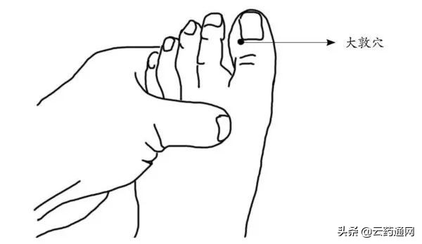 好肝要靠什么养生,好肝是养出来的做好4件事