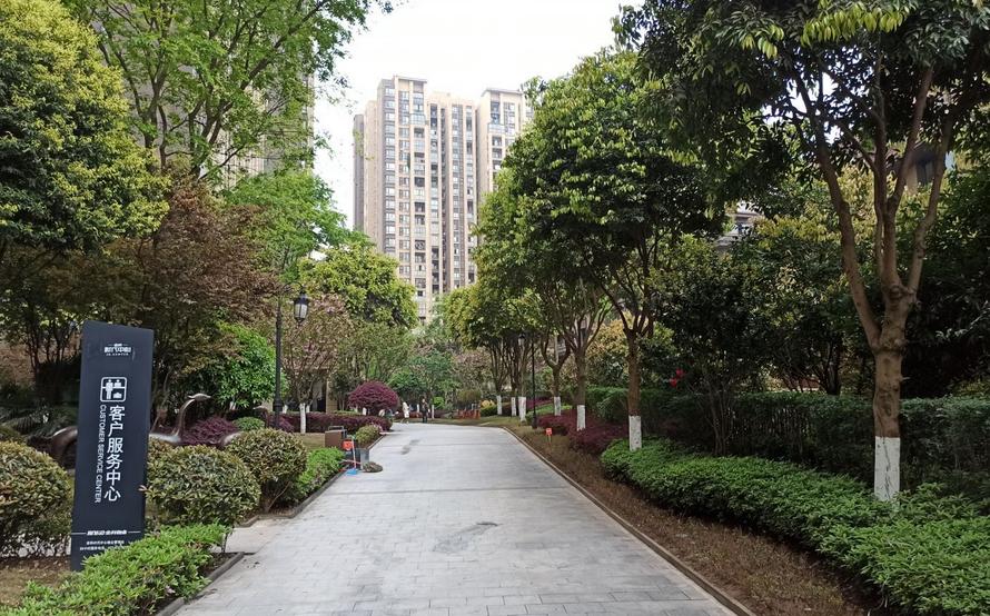 重庆照母山新房房价5万元一套,重庆照母山楼盘价格表