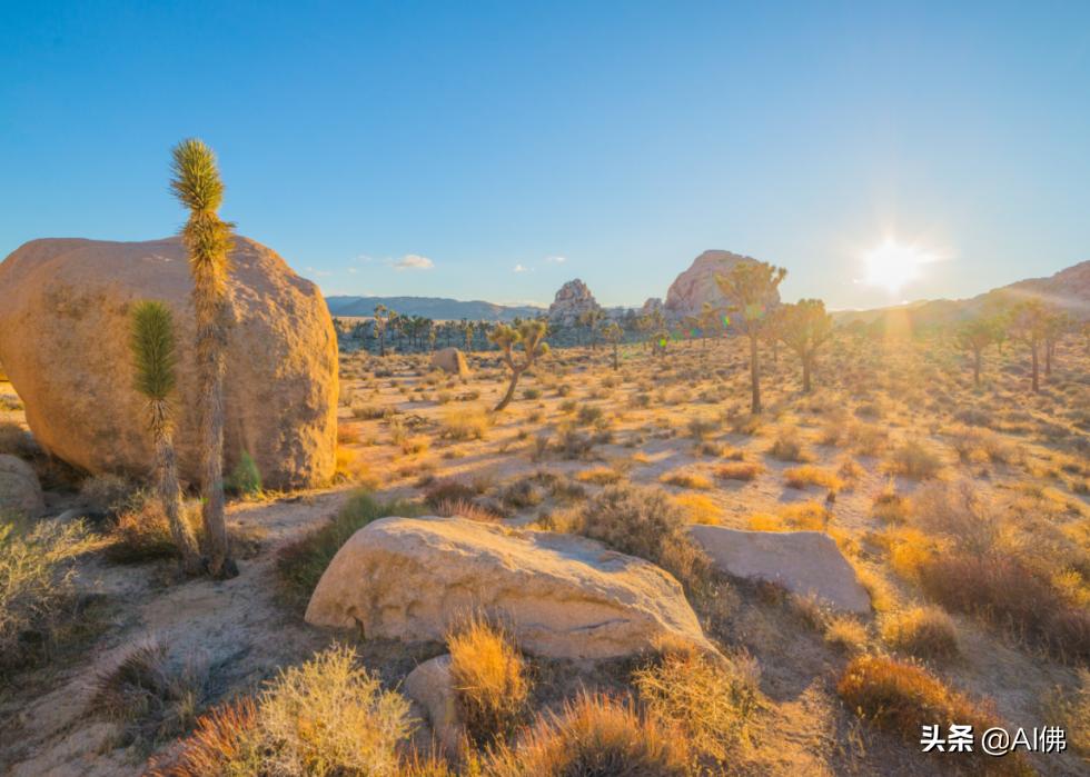 美国最受欢迎的五个州,美国最受欢迎的景点排行榜