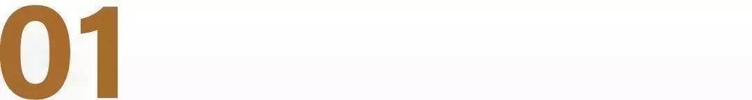 社区团购团长去哪里,社区团购团长的一天