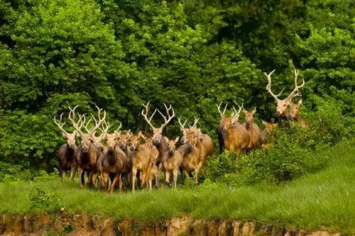 长三角一体化座谈会盐城,盐城加入长三角有什么好政策