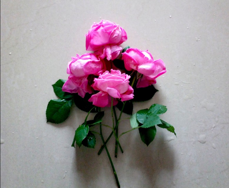 有关感恩感动的中考满分作文,成长感悟类高考满分作文