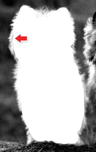 17版ps抠图最快又完整的方法,21版本ps抠图最快又完整的方法