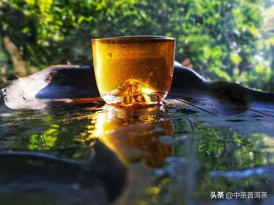 中茶普洱茶生茶推荐,中茶2021臻品黄印熟茶评测