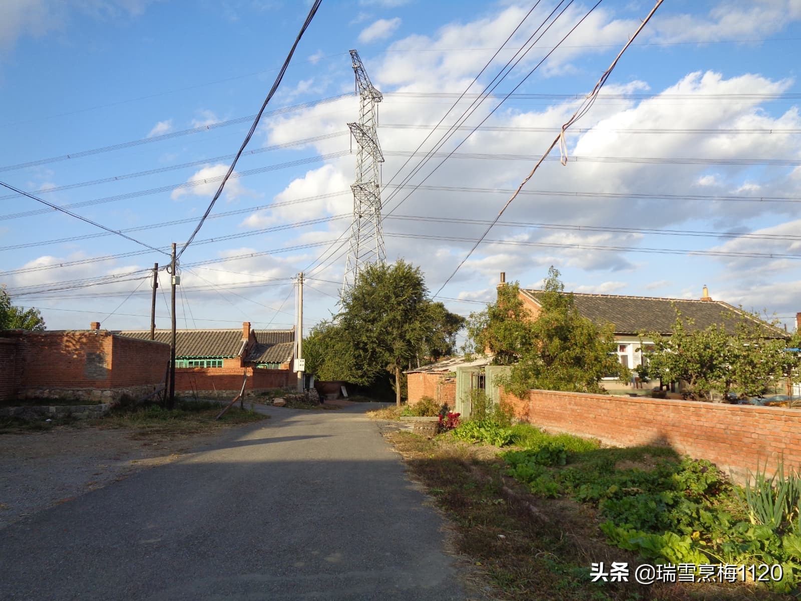 沈北新区依路村,沈北新区马刚乡地图