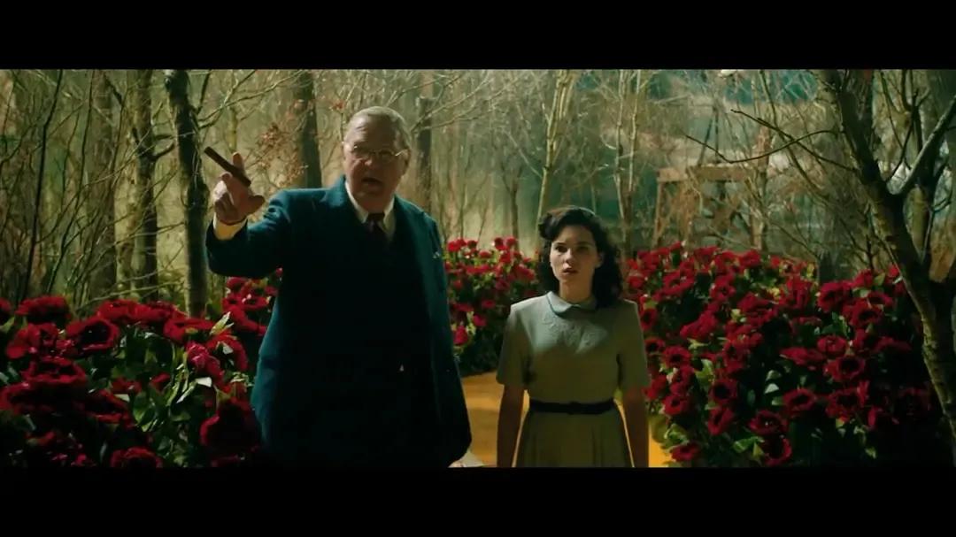 奥斯卡朱迪视频,美国影星朱迪