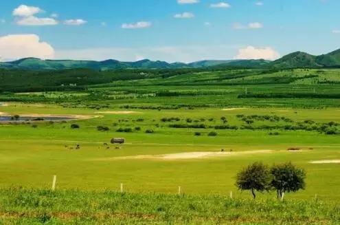 写高山草原的散文随笔,坝上草原散文随笔