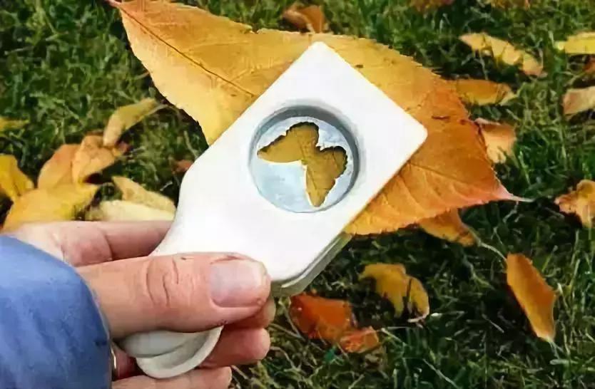 绉嬪ぉ涓婚鍖哄煙娲诲姩璁捐鏂规,绉嬪ぉ涓婚璇剧▼娲诲姩鏂规璁捐