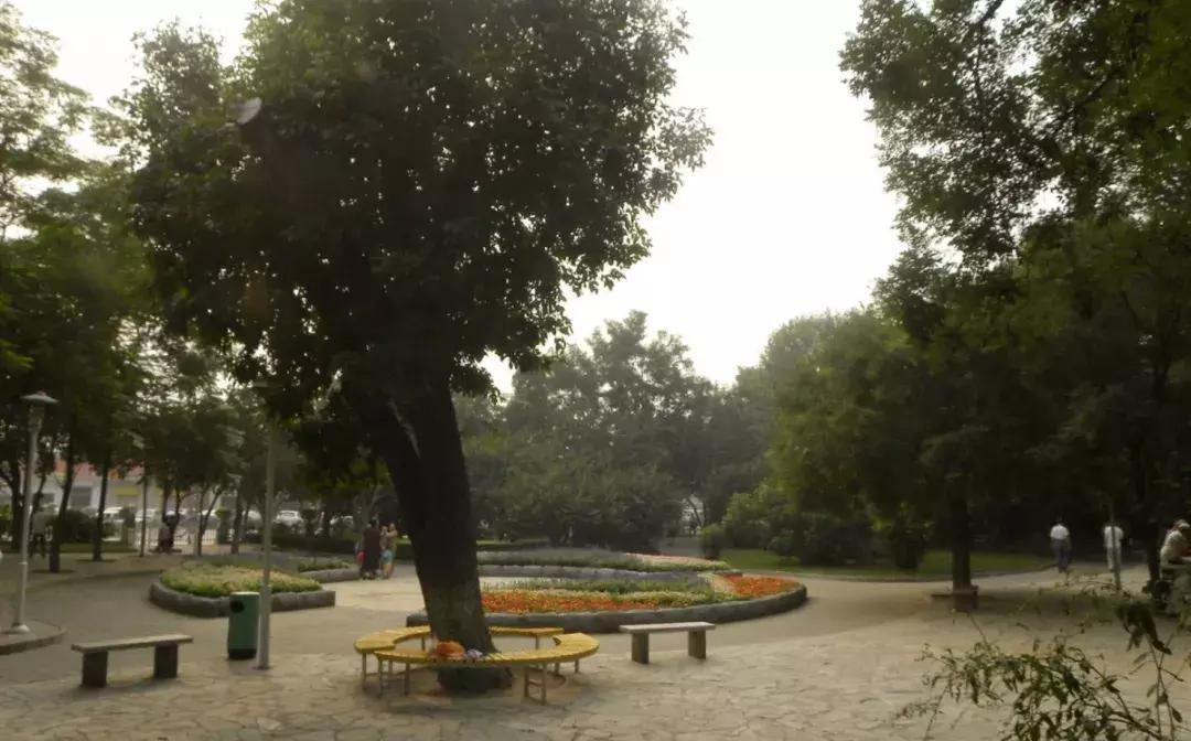 寸土寸金公园,天津值得一去的公园