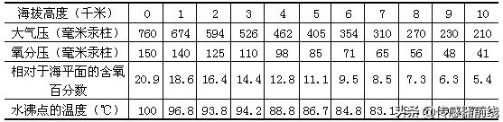 o2co2的意思,o2和co2分别代表什么