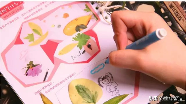 想要有孩子就必须得干了一件事,要想孩子聪明就要做这几件事