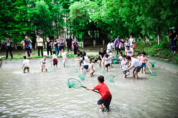 乌村暑期夏令营，吃喝玩乐在这里