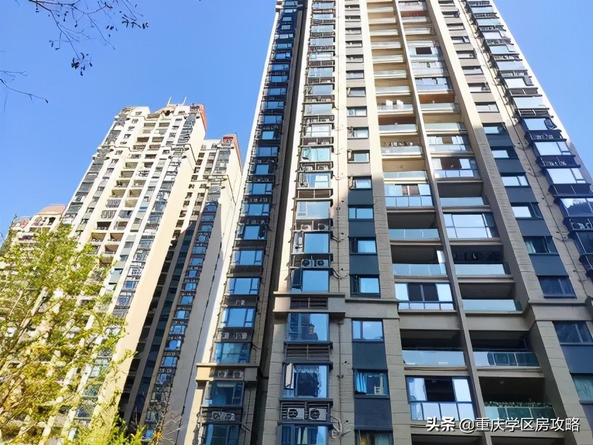 照母山的重点中学,照母山优质学区