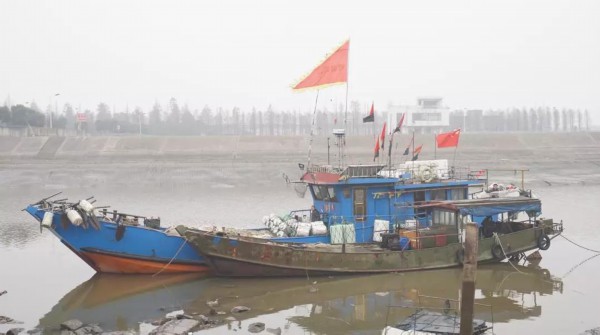 2018十大感人瞬间感谢你,谢谢2018完整视频