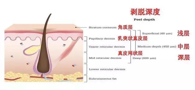 角质层怎么用视频教程,角质层薄怎么涂护肤品