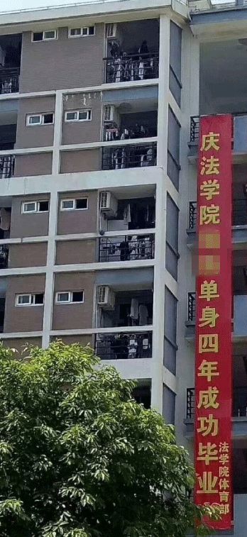 学校毕业的横幅,高校走心毕业季标语惹哭网友