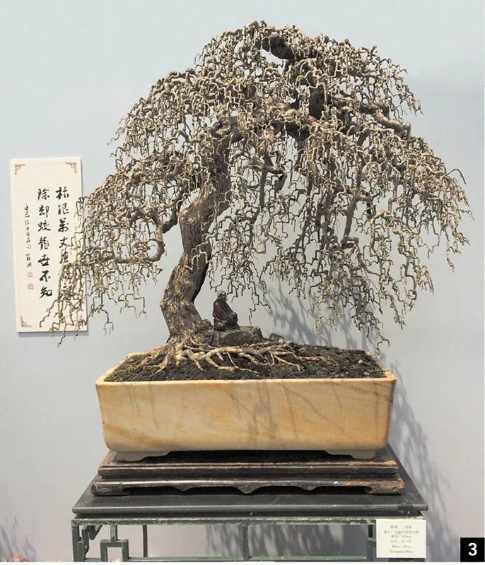 盆景修行,学习盆景技术最好的书