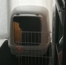 吉若奥mini空气净化器,吉若奥空气净化器测评