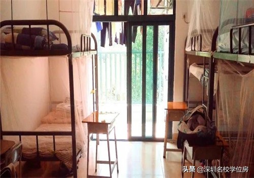 深圳公办高中各学校住宿情况,深圳民办高中住宿条件最好的