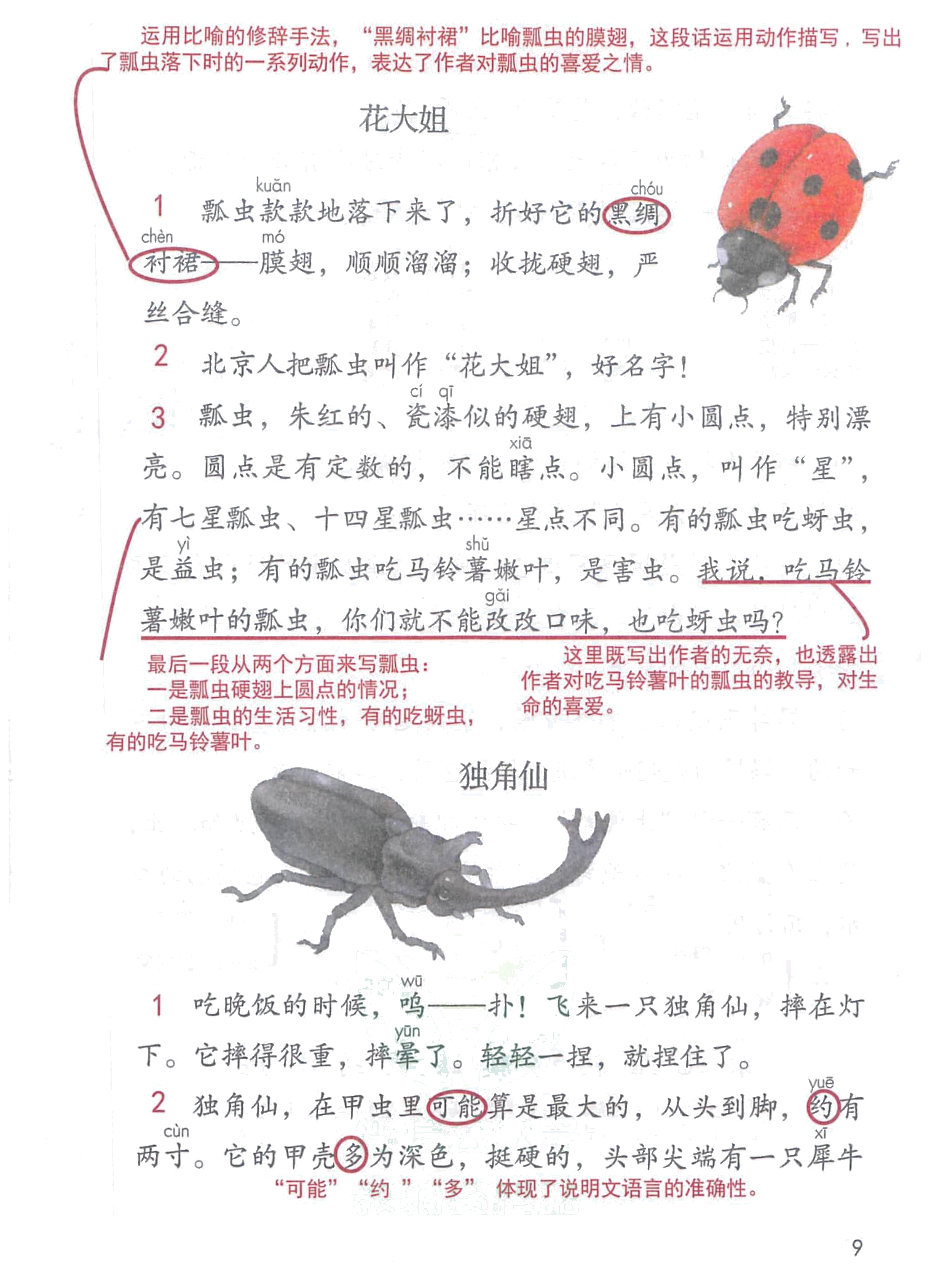 三年级语文下人教版第一单元笔记,三年级语文下册笔记完整版三单元