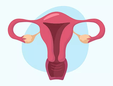 试管移植着床失败的原因是什么,如何提高试管胚胎着床成功率