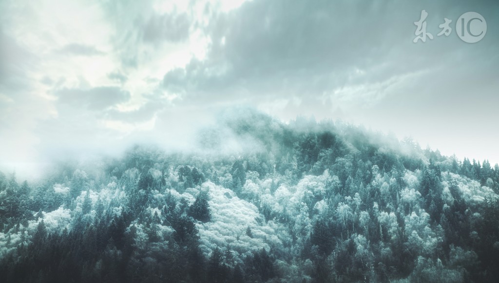 旱魃女魃叶无双,旱魃女魃小说