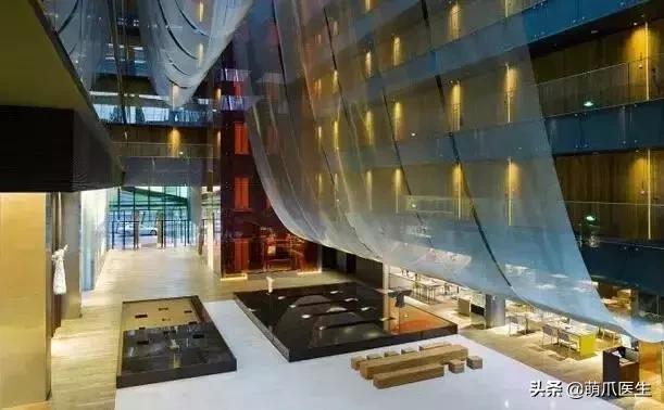 带宠物住宿酒店,带宠旅行酒店