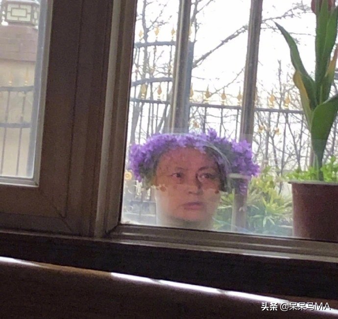 密室大逃脱段子,盘点那些搞笑的逃脱密室