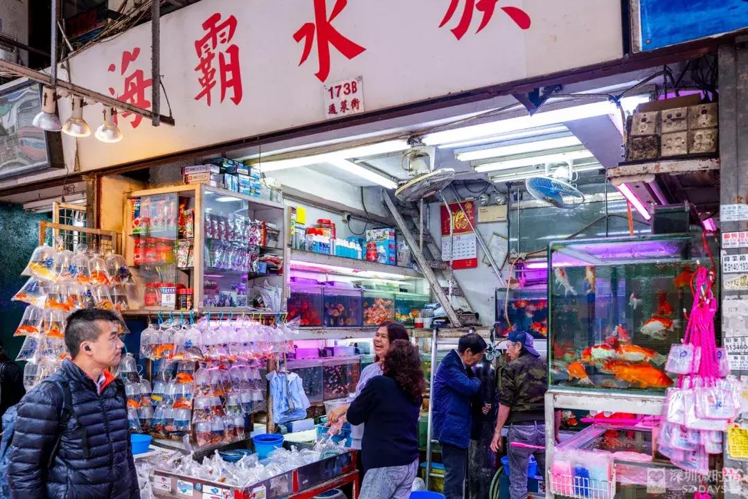 香港小众地点大全,香港最好逛的地方