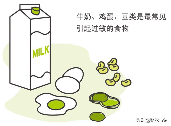 常见易引起过敏的食物,易引起过敏的食物有哪些