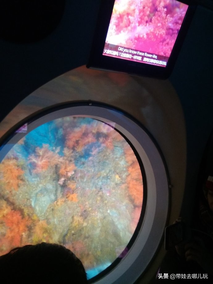 5天小长假国内飞海外,小长假出境游