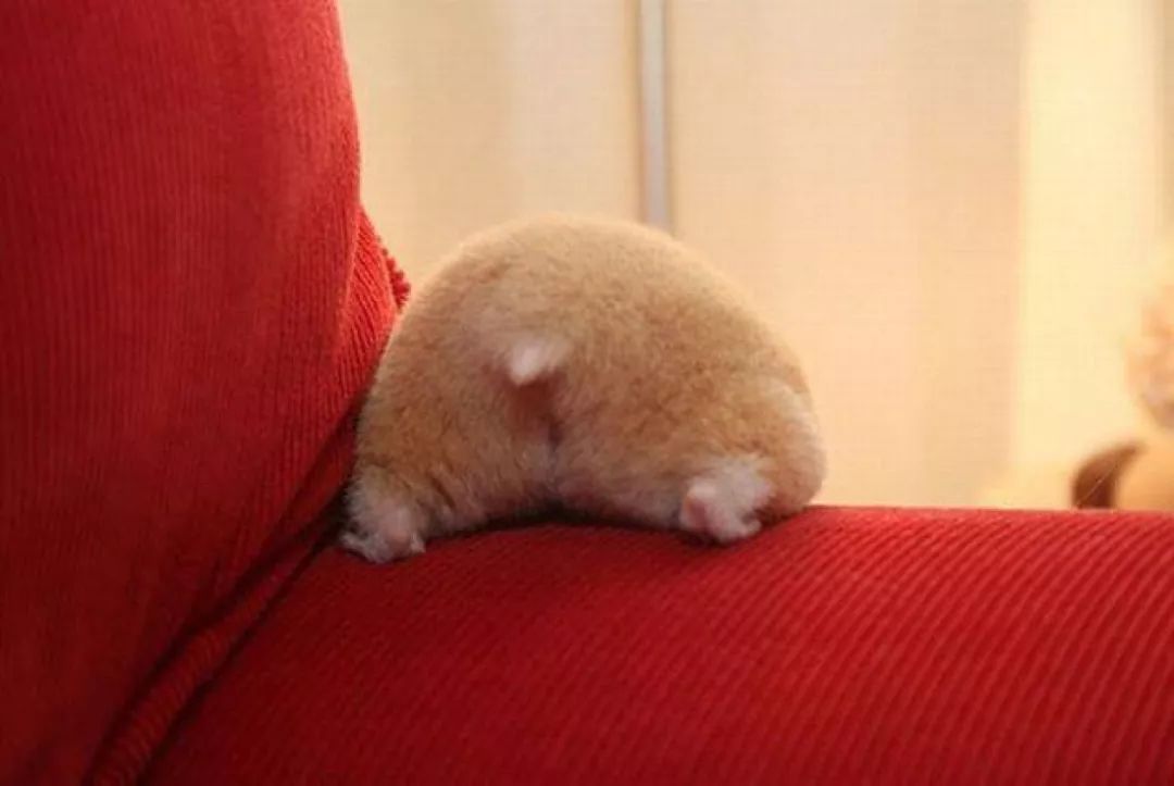 大家都在用什么解压方法,一个很神奇的解压方式