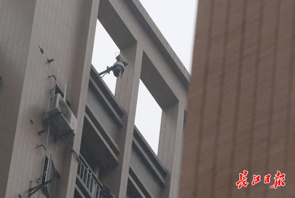 天河机场再升级、植树造林“超标”，2019年武汉这些民生承诺兑现了