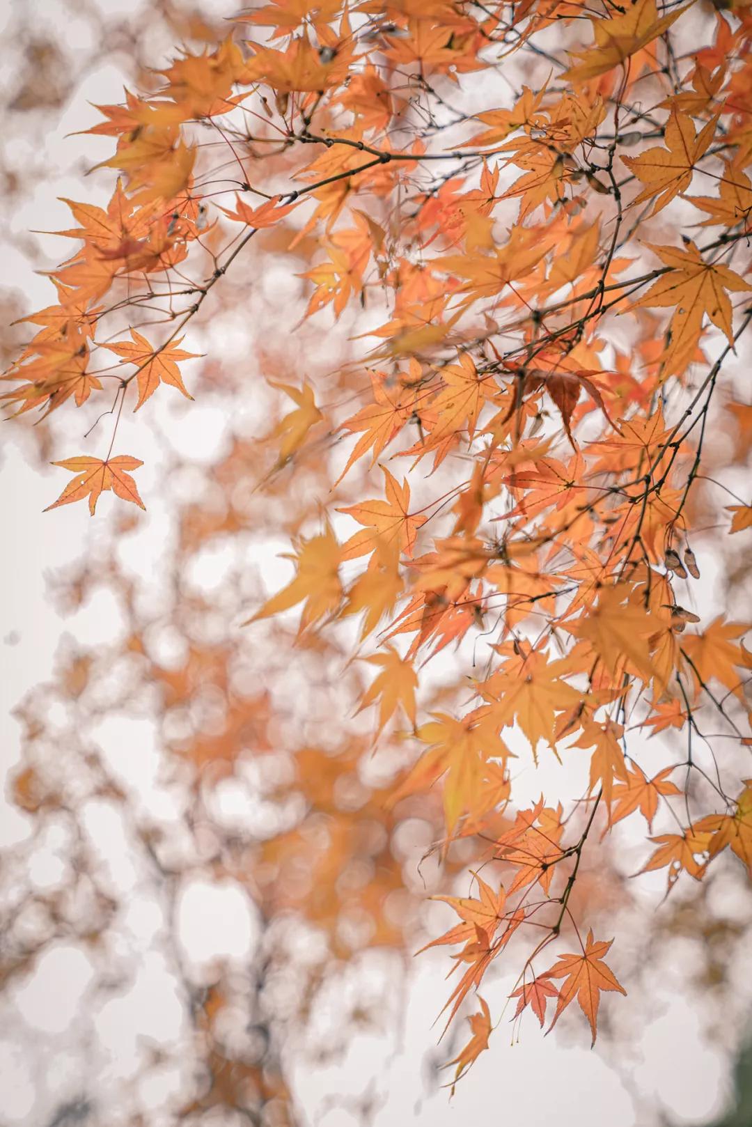 父母约会时，玩得比你野多了