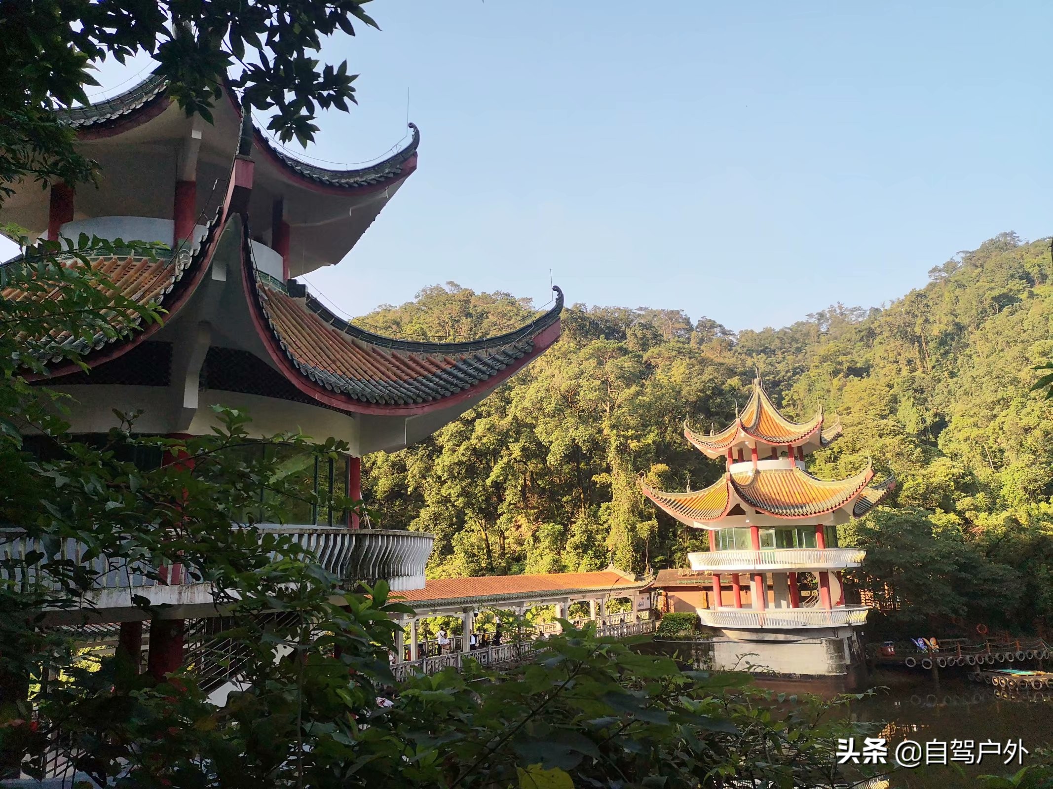 广东鼎湖山景区在哪,肇庆鼎湖山是四大名山之首