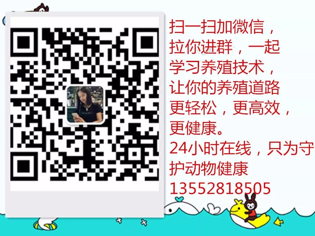 牛的脸部肿是什么原因,牛下颚一侧肿大咋治疗