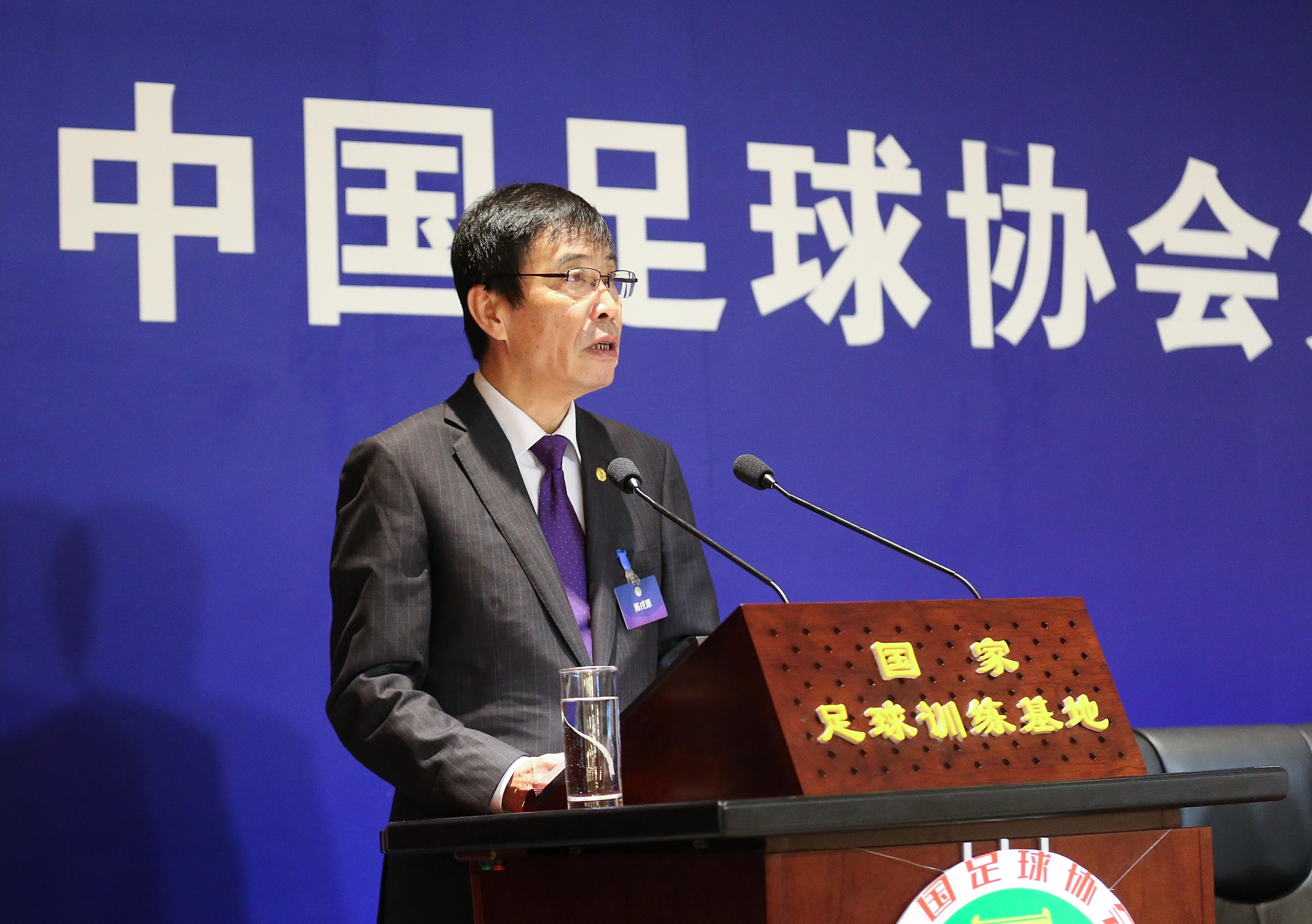 不死鸟天津泰达,天津不死鸟队