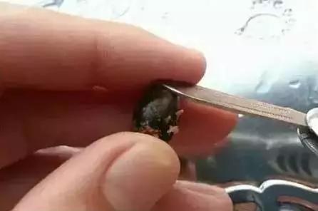 2元一个莲蓬手串,2块钱的莲子手串