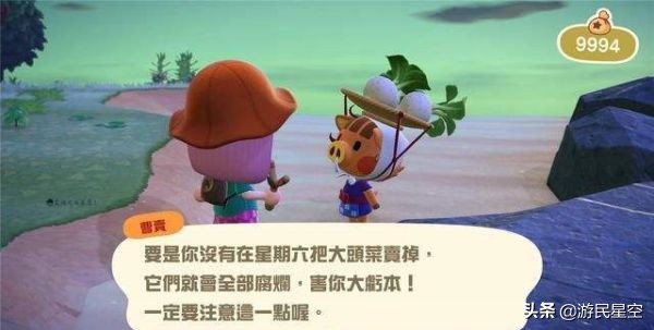 动物森友会大头菜种子如何获得,动物森大头菜价格趋势判断