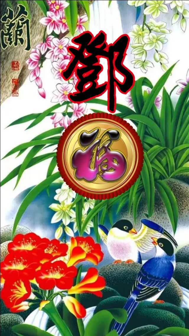 精美兰花壁纸图,兰花高贵壁纸