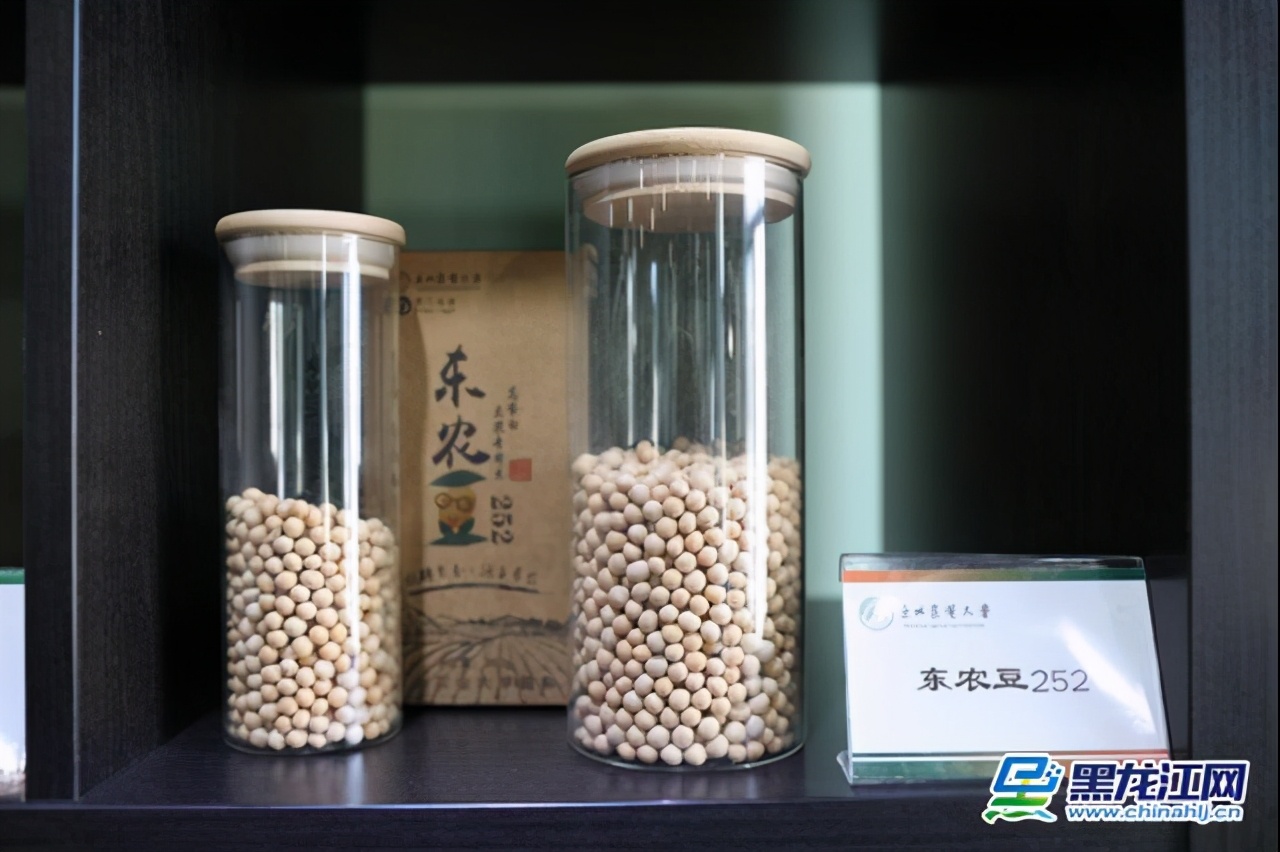 「龙江涉农高校媒体行」立足龙江服务“三农”东北农业大学为龙江农业腾飞插上科技翅膀